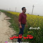 طالب قاسمی گل تیه کال